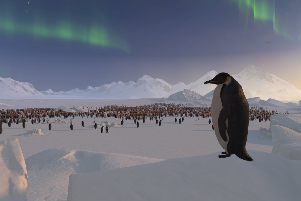 Pinguin auf einem Eisberg